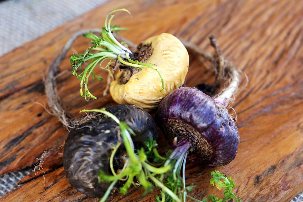 Maca - extrakt z 3 druhů kořene 1000 mg