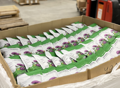 Ostropestřec mariánský (čerstvě drcený plod)