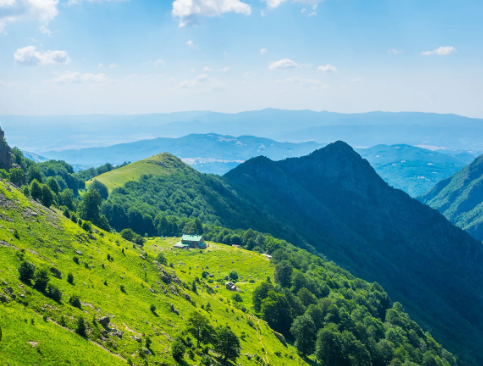 Kotvičník (Tribulus) - extrakt z rostliny 650 mg