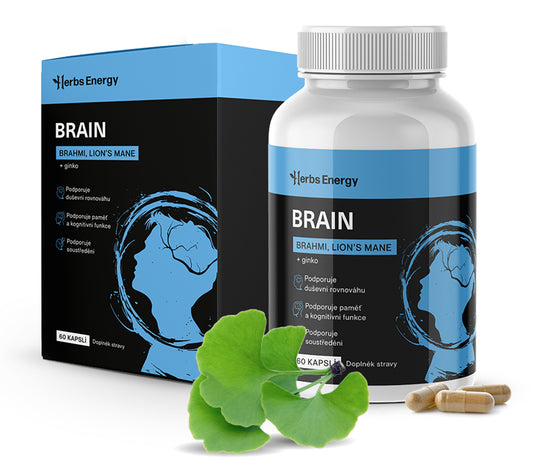 BRAIN Brahmi, Lion´s Mane + Ginkgo